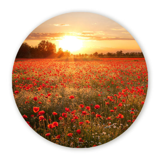 Muurcirkel Zonsondergang over Klaprozenveld