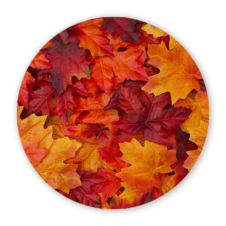Muurcirkel Herfstbladeren