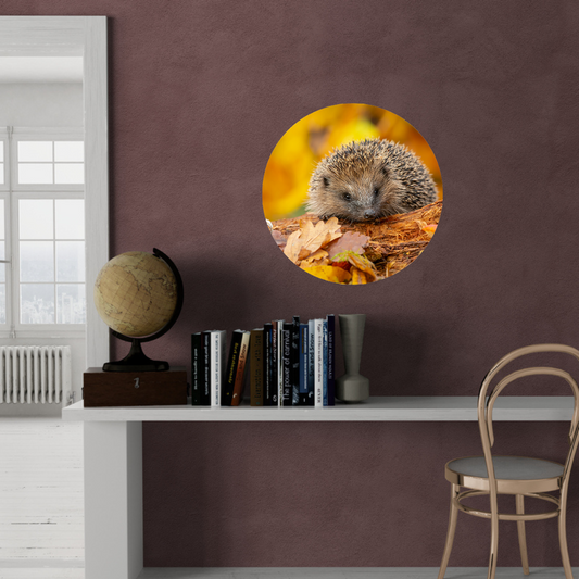 Muurcirkel Herfstsnuffel