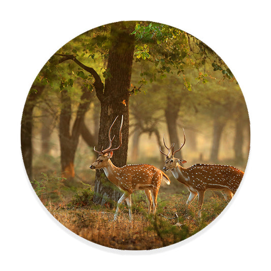 Muurcirkel Herten in Herfstbos