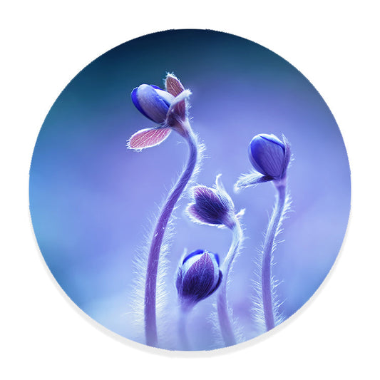 Muurcirkel Bloeiende Blauwe Bosbloemen