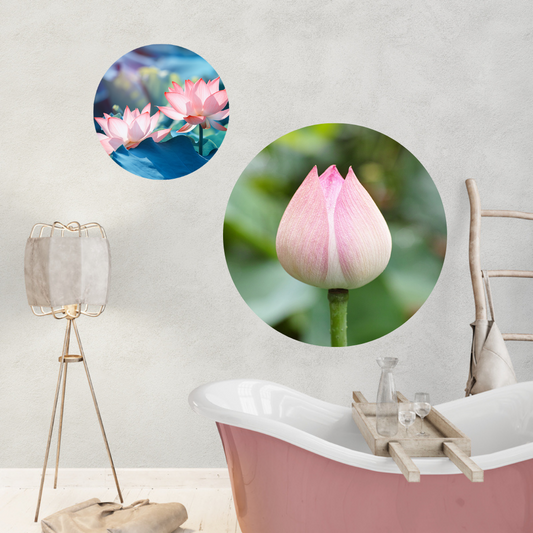 Muurcirkel Stralende Lotus