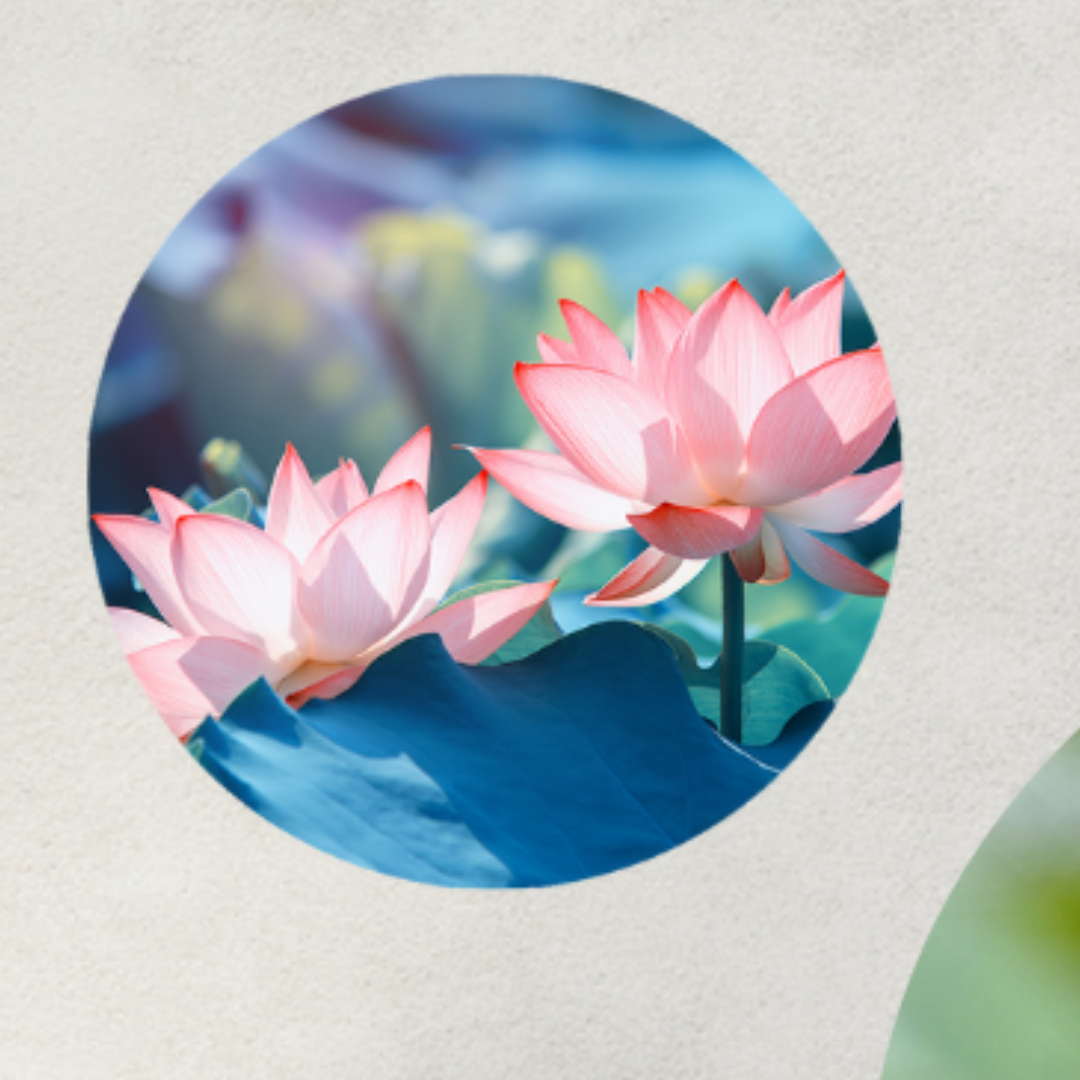 Muurcirkel Stralende Lotus