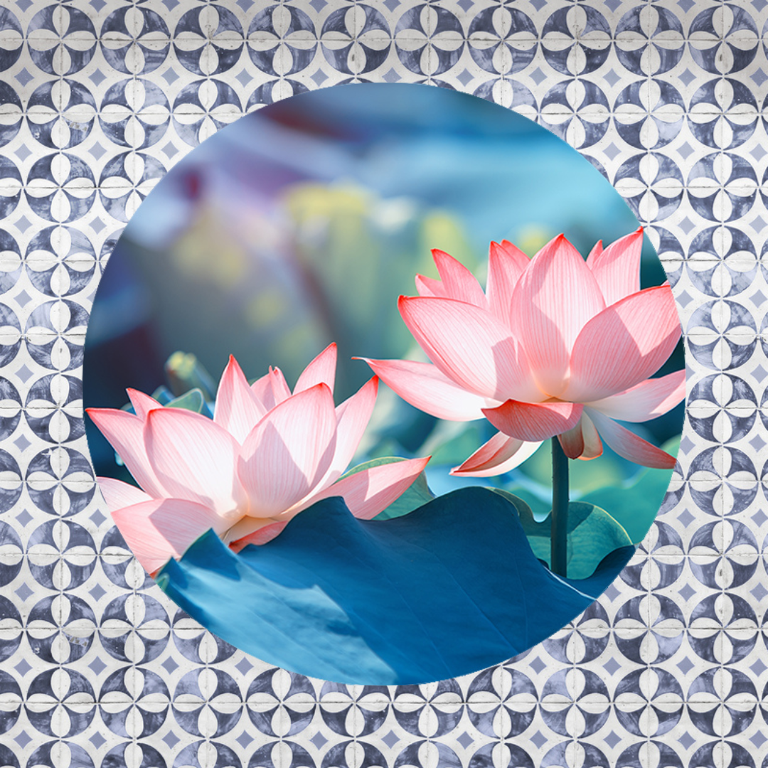 Muurcirkel Stralende Lotus
