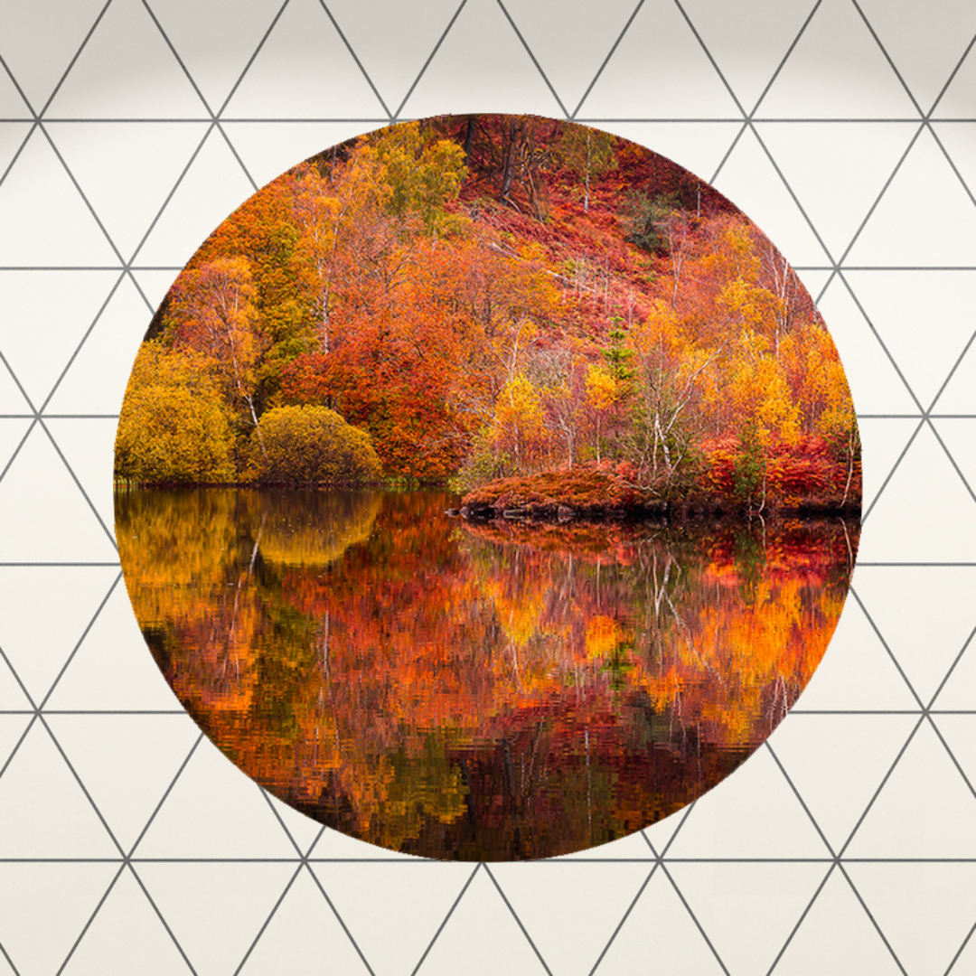 Muurcirkel Reflecties van de Herfst