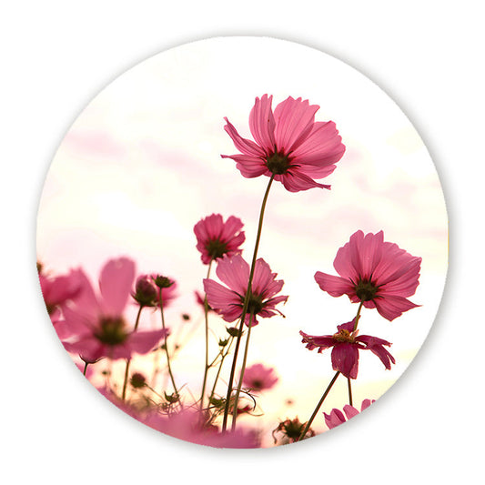 Muurcirkel Roze Bloemen in de Zon