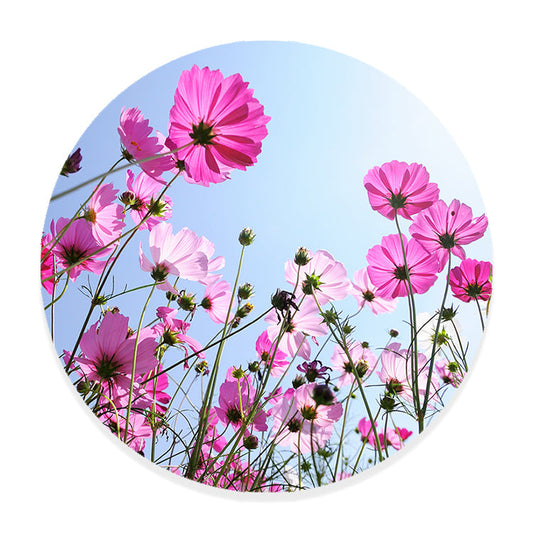 Muurcirkel Roze Bloemen en Blauwe Hemel