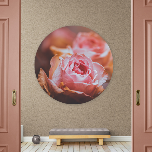 Muurcirkel  Roze Rozen