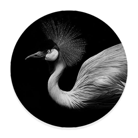 Muurcirkel Schaduwspel Flamingo
