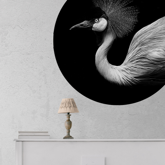 Muurcirkel Schaduwspel Flamingo