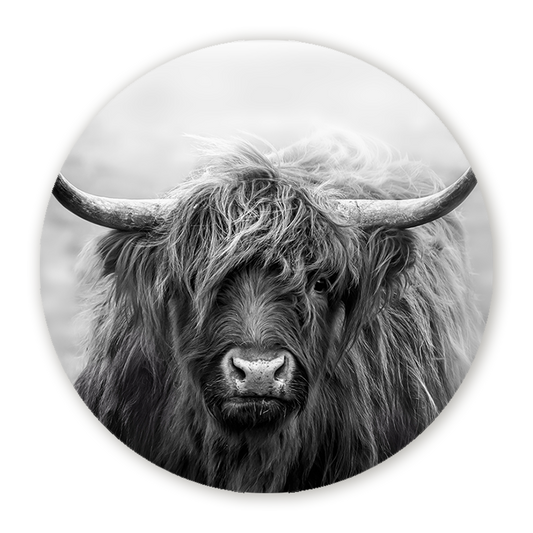 Muurcirkel Schotse Blik