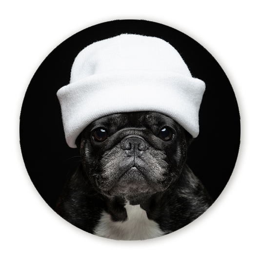 Muurcirkel Elegante Bulldog
