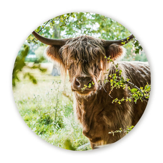 Muurcirkel Vredige Hooglander
