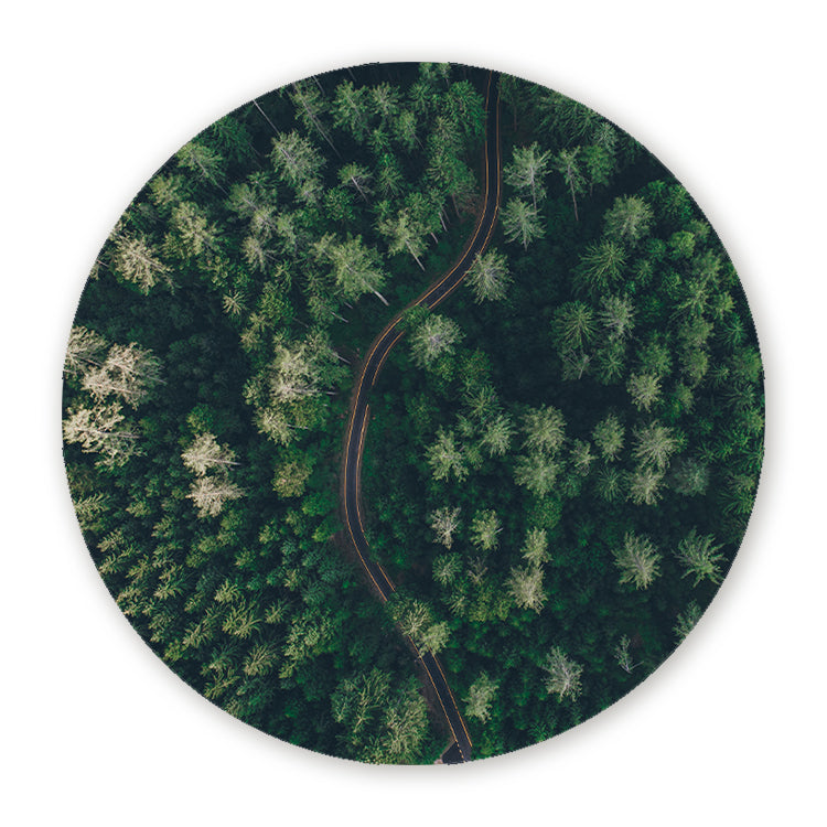 Muurcirkel Weg Door Het Bos Vanuit De Lucht
