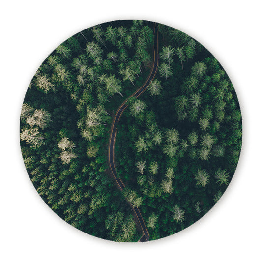 Muurcirkel Weg Door Het Bos Vanuit De Lucht