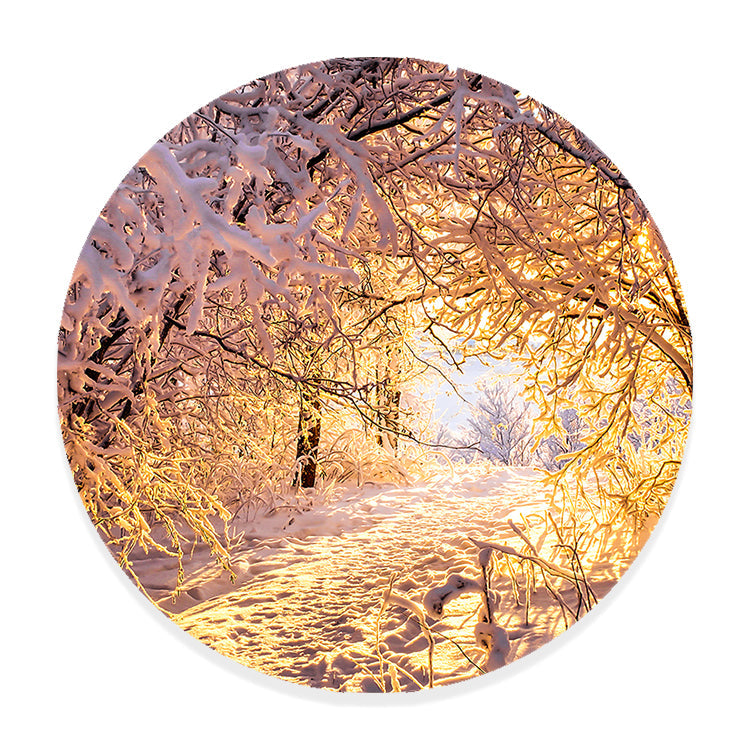 Muurcirkel Winterse Betovering