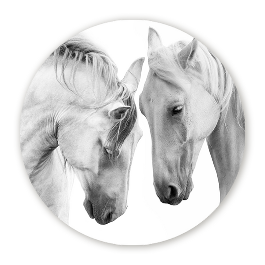 Muurcirkel Witte Paarden
