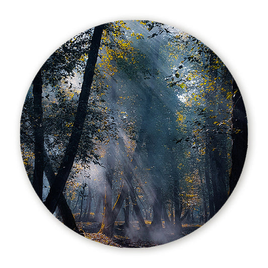 Muurcirkel Zonnestralen in het Bos