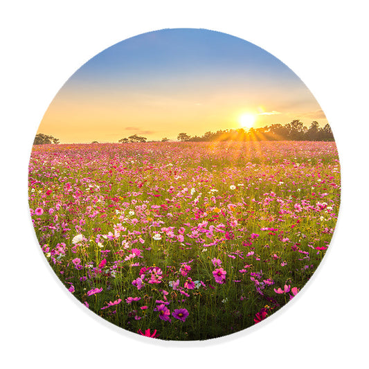 Muurcirkel Betoverende Bloemenveld bij Zonsondergang