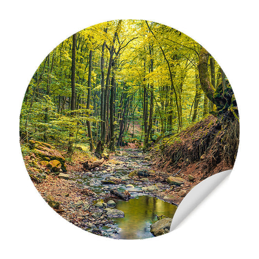 Muursticker - Prachtig Herfstbos