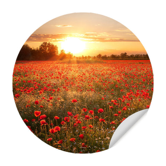 Muursticker - Zonsondergang over Klaprozenveld