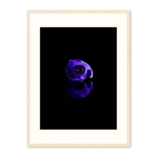 Poster in Lijst Anemone Coronaria