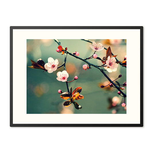 Poster in Lijst Japanse Kersenbloesem