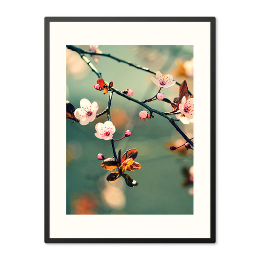Poster in Lijst Japanse Kersenbloesem