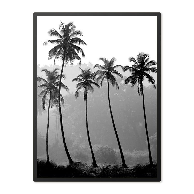 Poster in Lijst Palmbomen Zwart Wit
