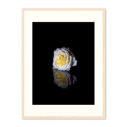 Poster in Lijst Witte Roos