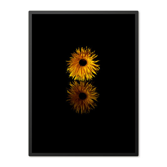 Poster in Lijst Zonnebloem
