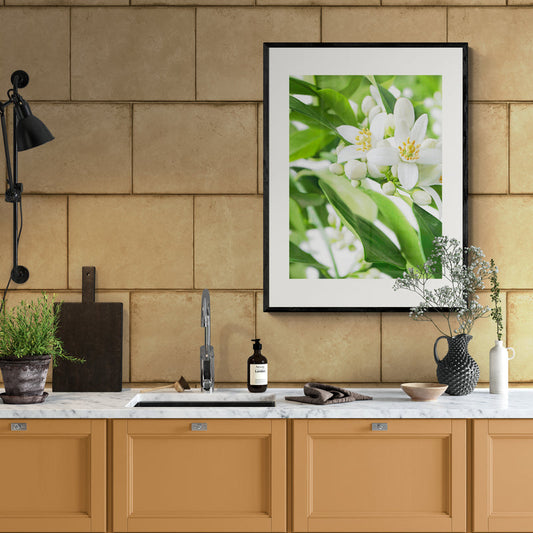 Poster in Lijst Citrusbloesems in volle Pracht