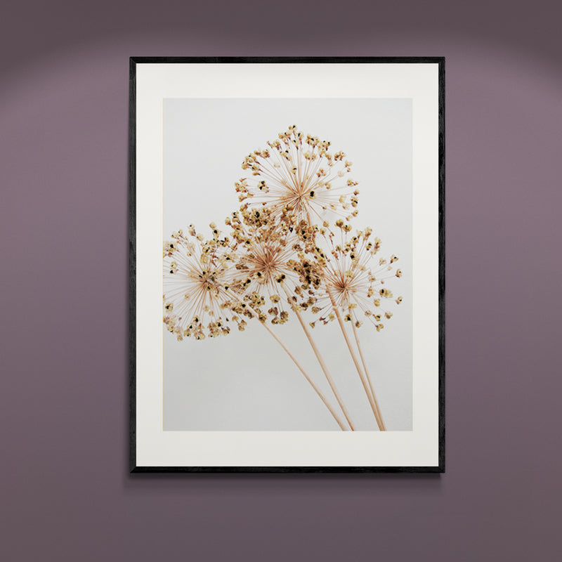 Poster in Lijst Droogbloemen