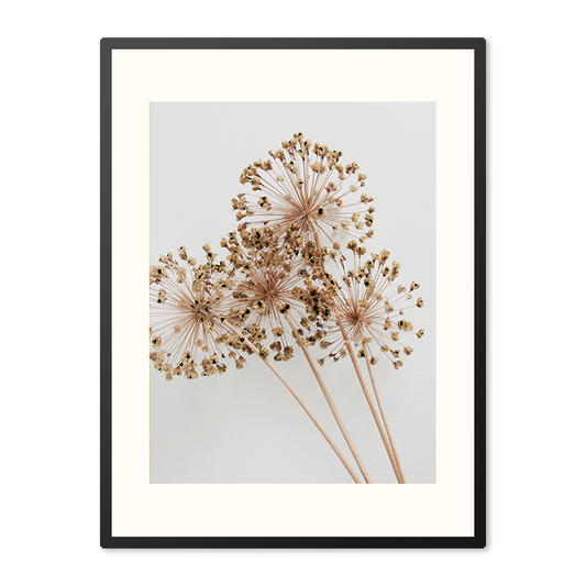 Poster in Lijst Droogbloemen