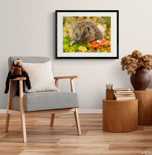 Poster in Lijst Egel in Herfstlandschap
