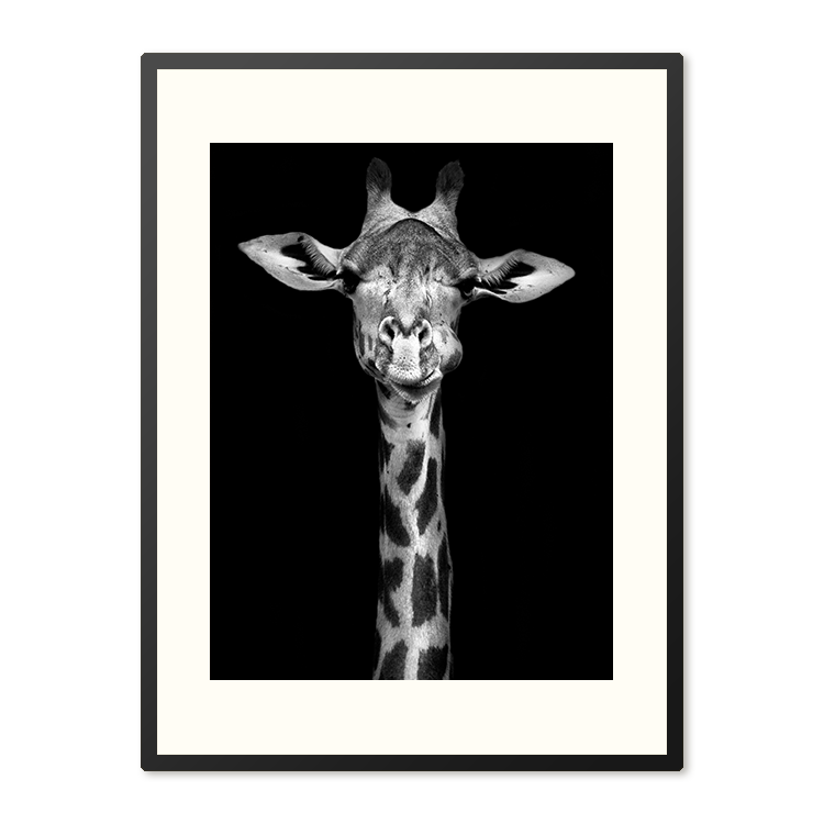 Poster in Lijst Majestueuze Elegante Giraffe