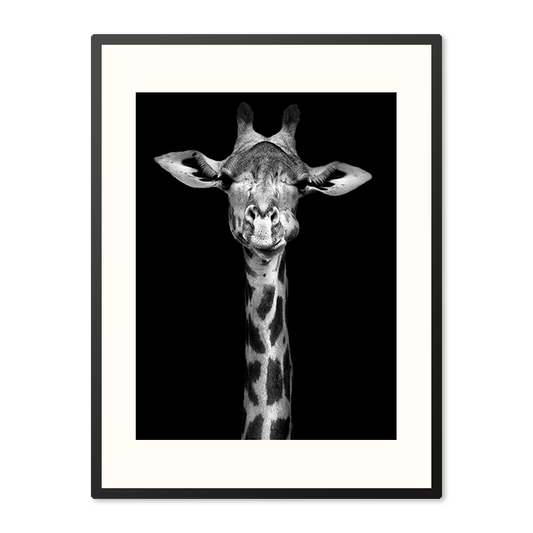 Poster in Lijst Majestueuze Elegante Giraffe