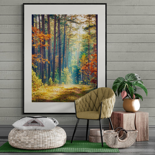Poster in Lijst Herfstbos bij Ochtendgloren