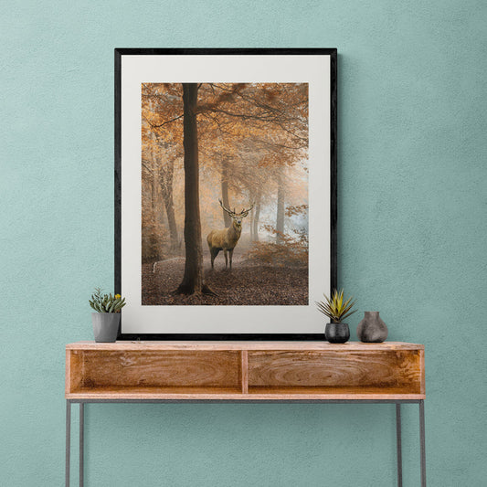 Poster in Lijst Hert in Herfstbos