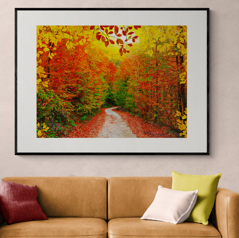 Poster in Lijst Kleurrijke Herfstwandeling in het Bos