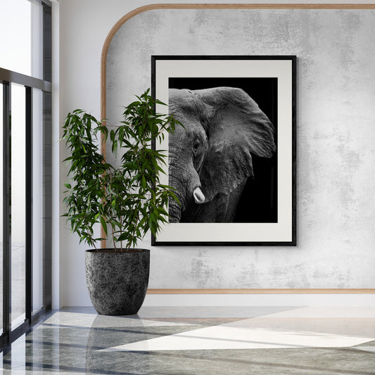 Poster in Lijst Krachtige Olifant