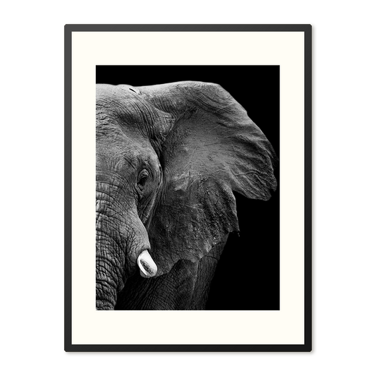 Poster in Lijst Krachtige Olifant