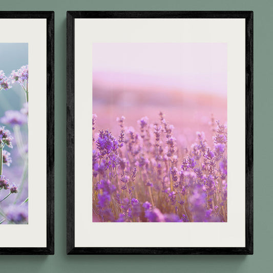 Poster in Lijst Lavendelbloemen