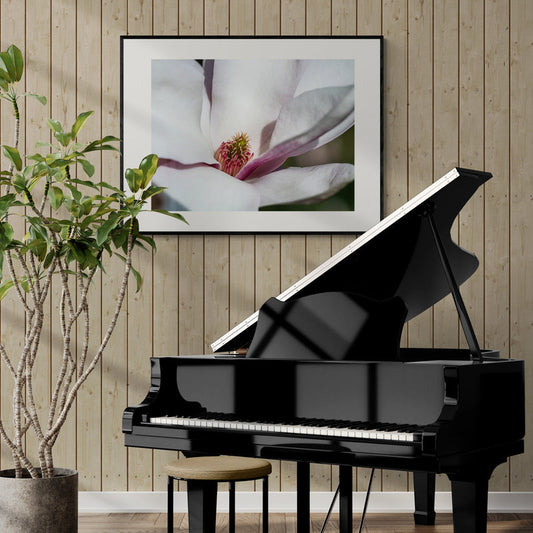 Poster in Lijst Magnolia Bloesem