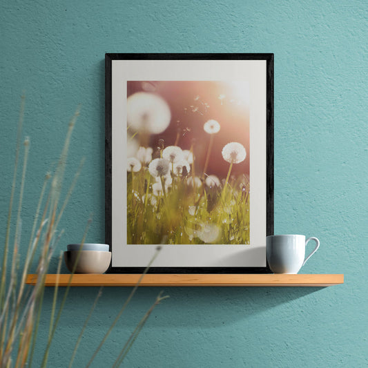 Poster in Lijst Pluizige Paardenbloem