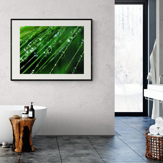 Poster in Lijst Regendruppels op een plant
