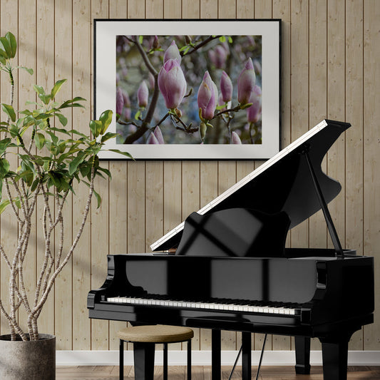 Poster in Lijst Roze Magnolia's