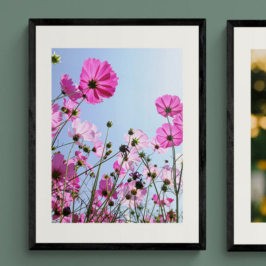Poster in Lijst Roze bloemen en blauwe hemel