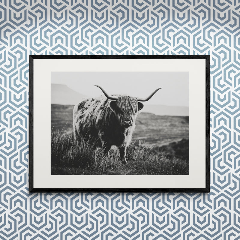 Poster in Lijst Schotse Hooglander