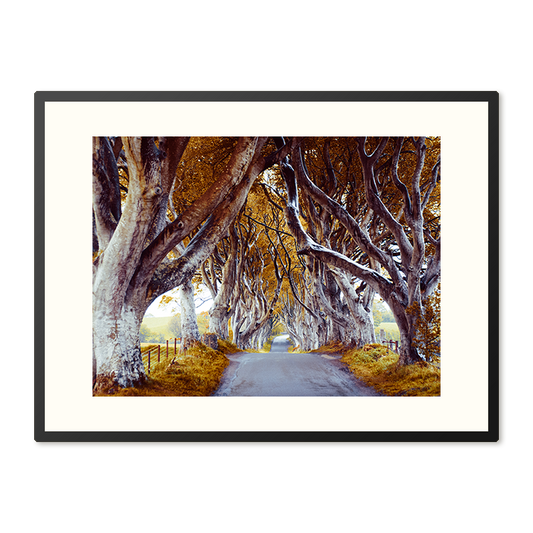 Poster in Lijst The Dark Hedges